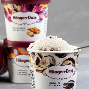 SORVETES  HÄAGEN-DAZS 87g